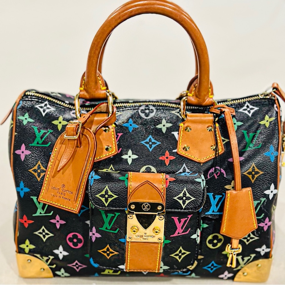 2011 Louis Vuitton LV Hand Bag Speedy 30